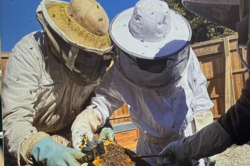 Les apiculteurs mobilisés : il est temps que le gouvernement réagisse !