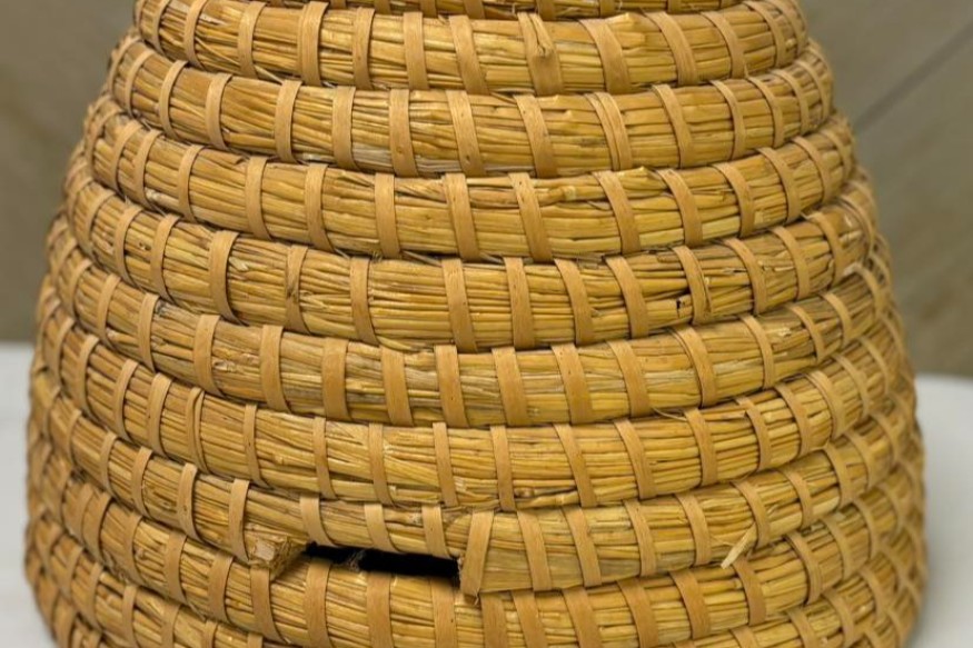 AGEN : 9ème édition de la SEMAINE DU MIEL du 24 au 31 janvier 2026