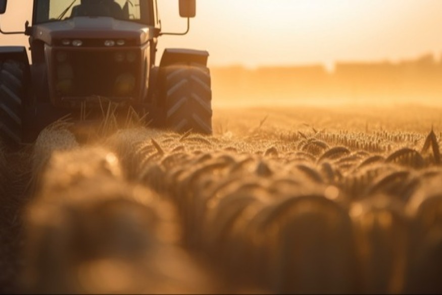 Pour la Confédération paysanne 47 la Loi Duplomb ne règle pas la question du revenu agricole mais organise la compétition économique avec encore moins d’agriculteurs